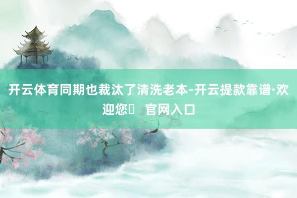 开云体育同期也裁汰了清洗老本-开云提款靠谱·欢迎您✅ 官网入口